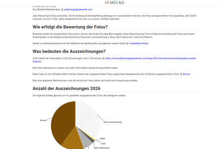 Auschnitt aus meinem IT-MÜCKE-Blog blog02.png