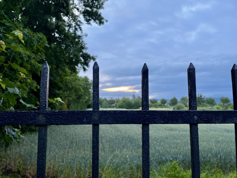 Foto: Richard Mücke Zaun