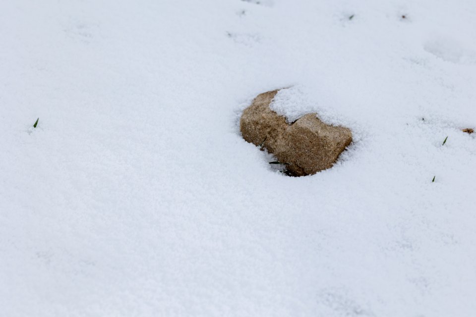 Foto: Richard Mücke schnee-stein