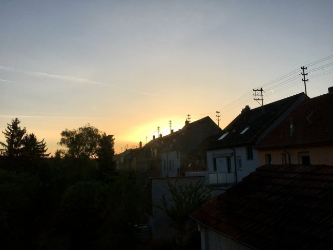Morgens