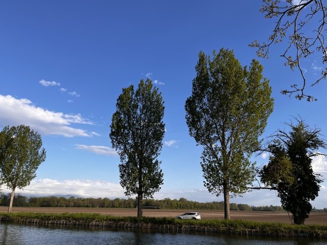 Am Kanal