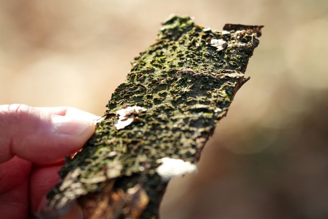 Foto: Sina Möller 73